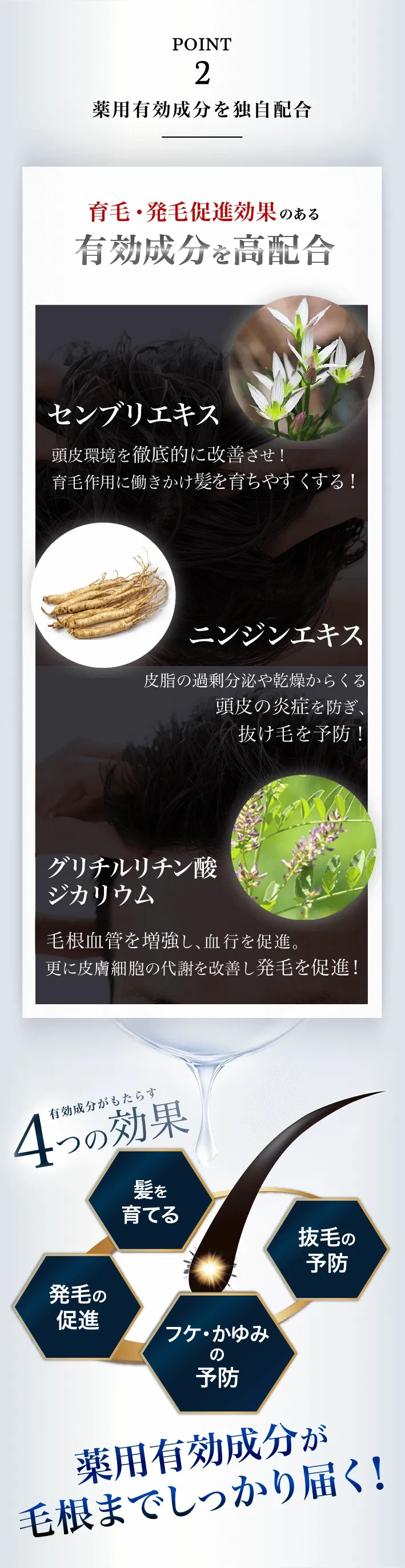 こだわりぬいた成分配合